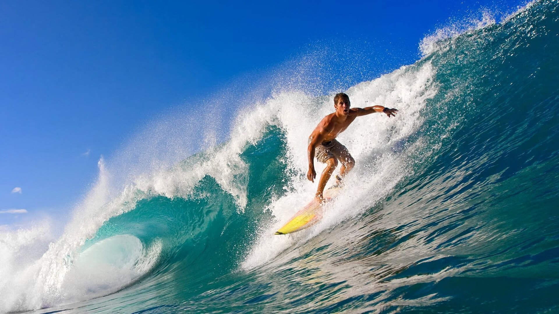 _快船迎战强敌,团队配合令人称赞_,快船全队